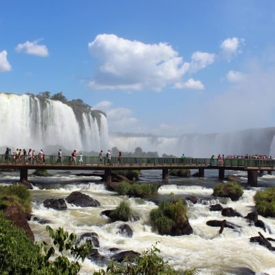 pexels-norian-segatto-3502588-5241599